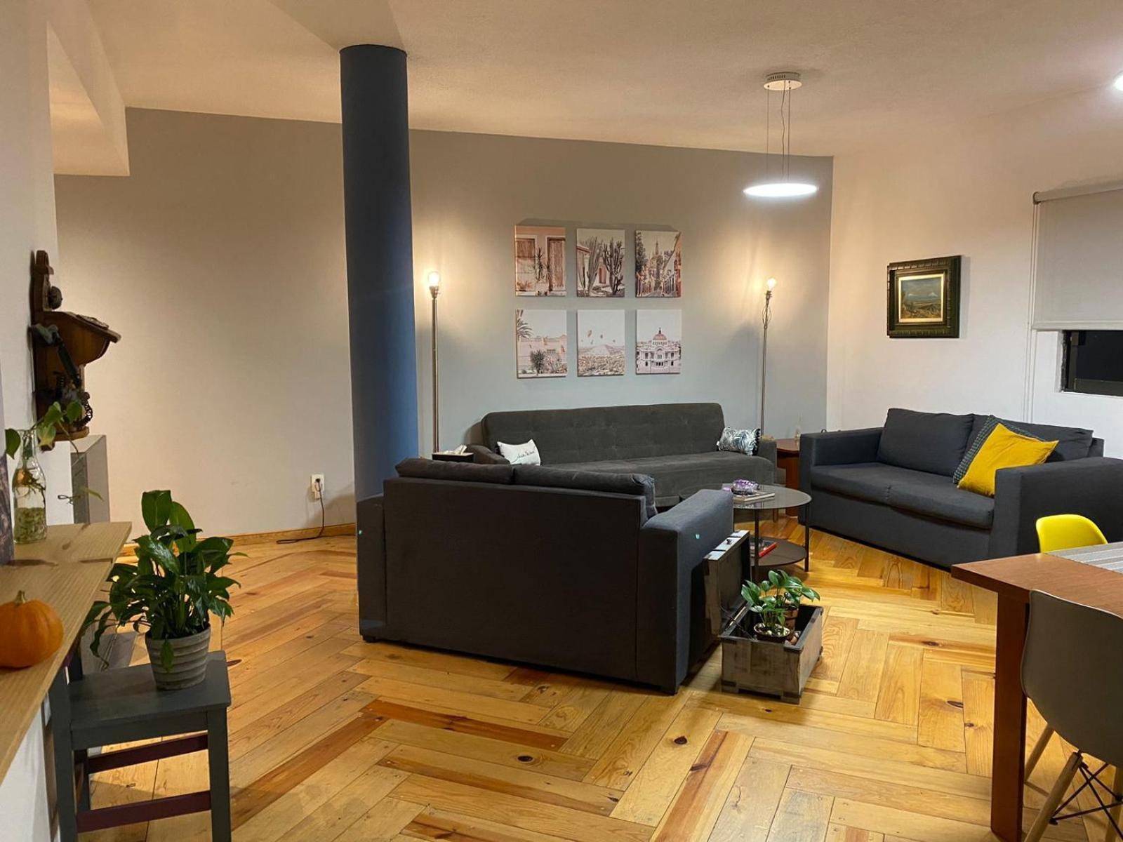 Corazon De Condesa Apartment Мексико Сити Екстериор снимка